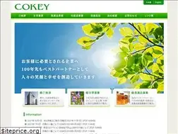 Sites similar to cokey.co.jp