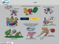 Sites similar to cokluzeka.com.tr