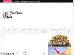 Sites similar to coksatanbilgiler.com