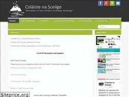 Sites similar to colaistenasceilge.ie
