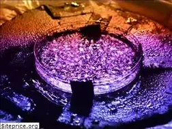 Sites similar to coldfusionnow.org