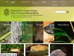 Sites similar to coleccionpatriciosanchez.cl