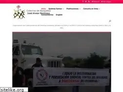 Sites similar to colectivodeabogados.org