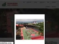 Sites similar to colegiodomingosavio.edu.co