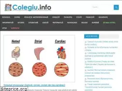 Sites similar to colegiu.info