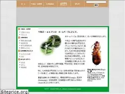 Sites similar to coleoptera.jp
