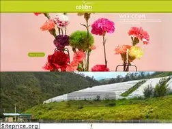 Sites similar to colibriflowers.com