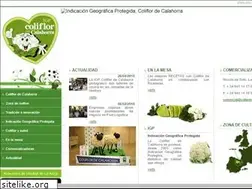 Sites similar to coliflordecalahorra.com