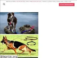 Sites similar to collares-perros.es