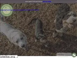 Sites similar to collegeforpets.com