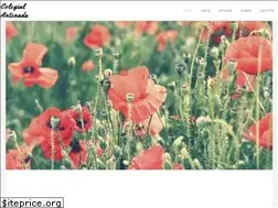 Sites similar to collegerev.weebly.com