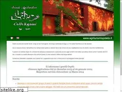 Sites similar to collelignani.com