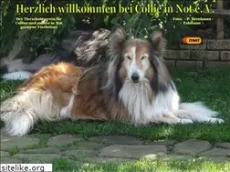 Sites similar to collie-in-not-tierschutz.de