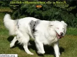 Sites similar to collie-in-not.de