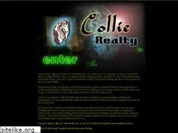 Sites similar to collierealty.com