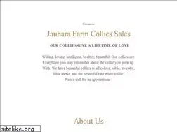 Sites similar to colliesforsale.com
