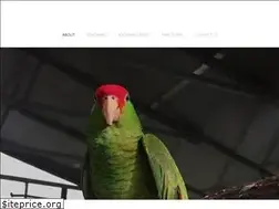 Sites similar to coloradoparrotrescue.org