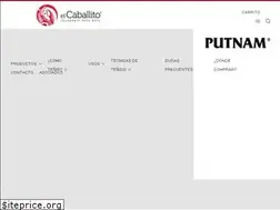 Sites similar to coloranteselcaballito.com