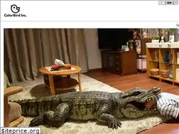 Sites similar to colorbird.co.jp