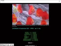 Sites similar to colordiscus.com