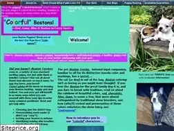 Sites similar to colorfulbostons.com
