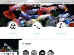 Sites similar to colors-farm.com