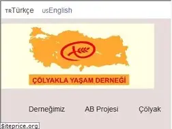 Sites similar to colyak.org.tr