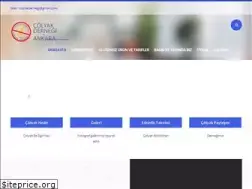 Sites similar to colyakankara.org.tr