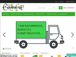 Sites similar to comertzeytin.com