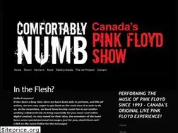 Sites similar to comfortablynumblive.com