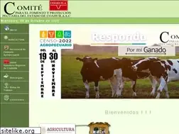 Sites similar to comitecoahuila.com