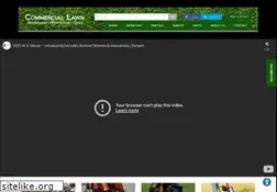 Sites similar to commerciallawnequipment.com