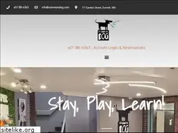 Sites similar to commondog.com