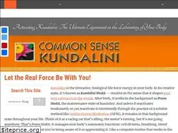 Sites similar to commonsensekundalini.com