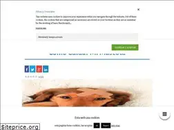 Sites similar to comocuidarmimascota.com