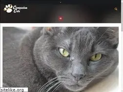 Sites similar to companioncats.com
