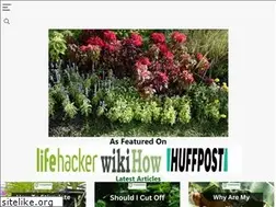 Sites similar to companionplanting.net