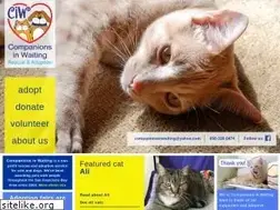 Sites similar to companionsinwaiting.org