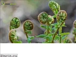 Sites similar to comporecycle.com