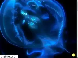 Sites similar to computergeeks.cc