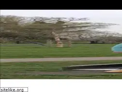 Sites similar to conamoremusica.nl