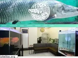 Sites similar to concept-chintai.com
