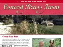 Sites similar to concertbrass.com