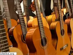 Sites similar to concertidee-musikladen.de