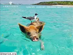 Sites similar to conciergetravel.cc