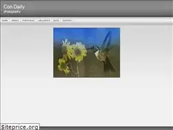 Sites similar to condaily.com