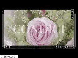 Sites similar to condici.com