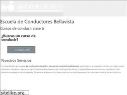 Sites similar to conductoresbellavista.cl
