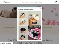 Sites similar to conejoshermosos.com