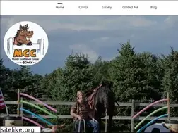 Sites similar to confidenthorse.com